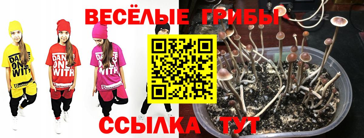 купить закладку  Вход с VPN  Орёл  Галлюциногенные грибы прущие грибы 